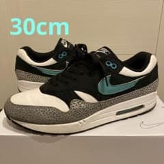 【即日発送】NIKE AIR MAX 1 by you エレファントのサムネイル