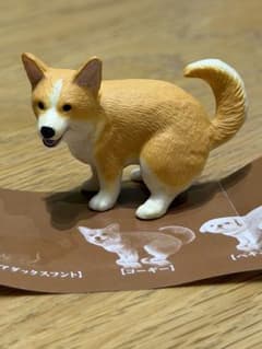 【新品未使用】ふんばりーぬ3 コーギーのサムネイル