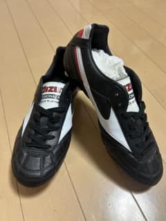 モレリア2 JAPAN クロスステッチ24.0のサムネイル