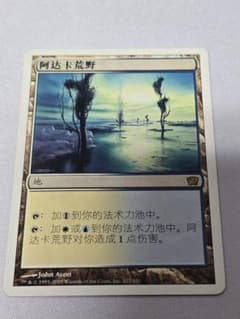MTG アダーカー荒原 中国語 9版 - メルカリ
