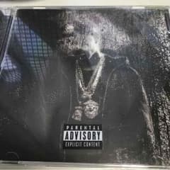 /WD様専用/Big Sean Dark Sky Paradiseのサムネイル