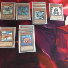hiroto様専用 遊戯王 餅ヒーローデッキのサムネイル