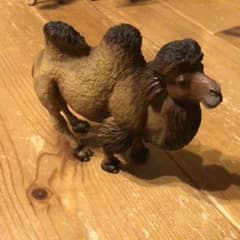 5月6日までお値下げ　シュライヒ　ラクダ　フィギュアのサムネイル