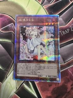 遊戯王 灰流うらら イラスト違い 25thシークレットレア 絵違い 25thSE