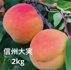 ☆信州大実 2kg 信州産 あんず 杏 生あんず アプリコット - メルカリ