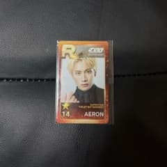 TJBB AERON エイロン シュスエル リアルカード - 2