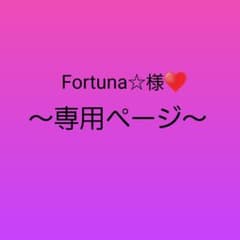 10/2-5日発送不可！Fortuna☆様♥️専用ページのサムネイル