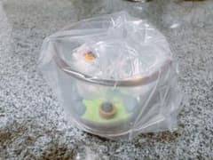 夏目友人帳　ニャンコ先生　カプセルトイ　ガチャのサムネイル