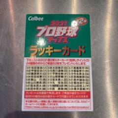 2021プロ野球チップス ラッキーカードのサムネイル