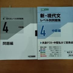 新・現代文レベル別問題集④ 中級編のサムネイル