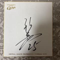 広島東洋カープ 新井貴浩 直筆サイン色紙 25 - メルカリ