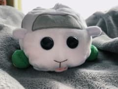 PUI PUI モルカー ぬいぐるみミニティッシュケースのサムネイル