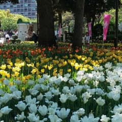 プロフ必読♡さま専用のサムネイル