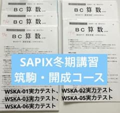 SAPIX6年冬期講習 開成コース【算数】WSKA実力テスト 原本 - メルカリ