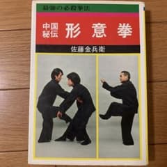 中国秘伝 形意拳 佐藤金兵衛 中国武術 カンフー - メルカリ