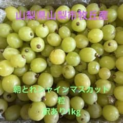 z*o様 新鮮 朝とれシャインマスカット粒 1kg 山梨県山梨市牧丘産のサムネイル