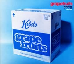 grapefruits/コブクロ.のサムネイル