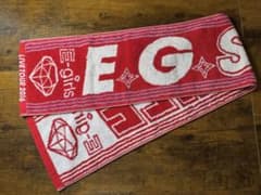 【値下げ可】E-girls LIVE TOUR 2016 タオルのサムネイル