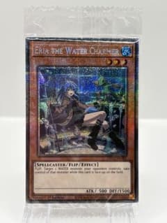 希少 ファイヤー ロケット団 プレイマット 公式品 ポケモンカード