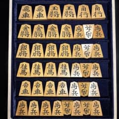 蜂須賀作 錦旗書 手彫り将棋駒 赤柾系御蔵島黄楊 あまり歩2枚 - メルカリ