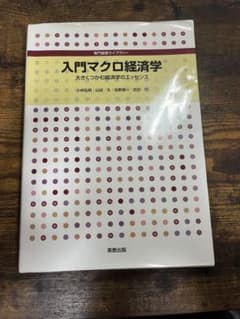 入門マクロ経済学 : 大きくつかむ経済学のエッセンスのサムネイル