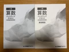 早稲田アカデミー 小6 算数 バックアップテキスト HOMEWORK - メルカリ