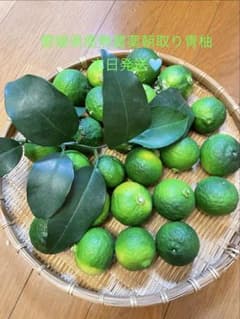 ②愛媛県産 無農薬 朝取り 青柚子本日発送のサムネイル