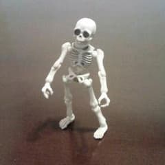 リーメント ポーズスケルトン ①のサムネイル