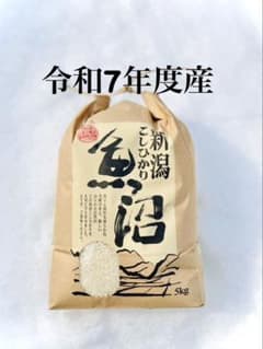 【超⭐︎メルカリ市限定！】7年産魚沼コシヒカリ 精米10kg 令和7年度産 魚沼産コシヒカリ（精米） 5kg - メルカリ
