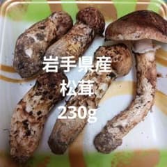 岩手県産国産 松茸 - メルカリ