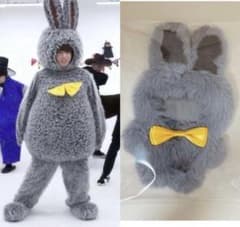 bts うさぎ 着ぐるみ ぬいぐるみ ぬい服 ジョングク 10cm グクトゥギ