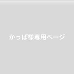 かっぱ様専用のサムネイル