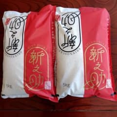 新之助 5kg 米 2袋セット - メルカリ