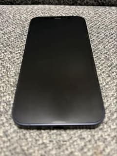 Apple iPhone 12 mini 128GB ブラック SiMフリーのサムネイル