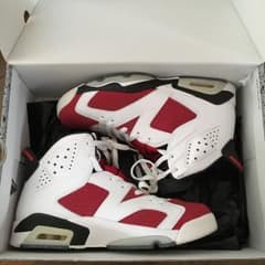 NIKE AIR JORDAN6 cairmine 26のサムネイル