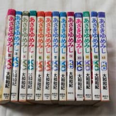 とりちゃんうさちゃん専用　あさきゆめみし : 源氏物語 13全巻のサムネイル
