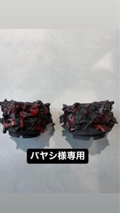 限定 GOAT GODZILLA RED グラキリス アガベ パキプス - メルカリ