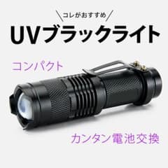 高性能UV ブラックライト LED 懐中電灯 小型 アウトドアのサムネイル