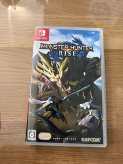 몬스터 헌터 라이즈 switch