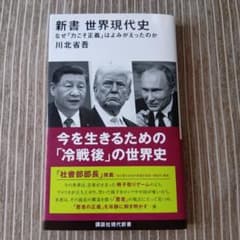 新書 世界現代史 川北省吾 講談社現代新書のサムネイル