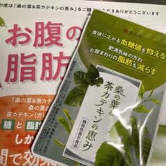 漢方セレクト 桑の葉&茶カテキンの恵み 120粒のサムネイル