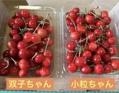 佐藤錦 訳あり 500g前後 コンパクトのサムネイル