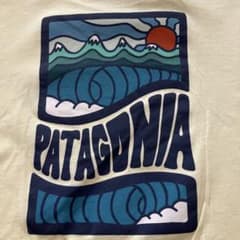 パタゴニア　オーガニックコットンTシャッのサムネイル