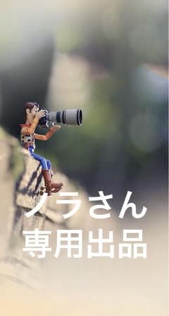 専用。ニューバランス☆スノーブーツのサムネイル
