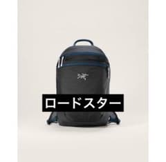 国内正規品】アークテリクス ヒリアド 15 バックパック ロードスター 