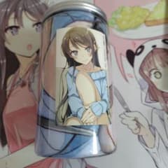 청춘 돼지 놈은 토끼 소녀 선배의 꿈을 꾸지 않는다 병들이 담요 미개봉