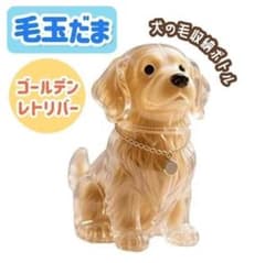 けだまだま ゴールデンレトリバー メモリアル キーホルダー 毛 保存 チャームのサムネイル