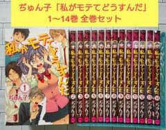 全巻セット】ぢゅん子「私がモテてどうすんだ」1～14巻 全巻セット 