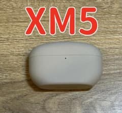 SONY WF-1000XM5 실버