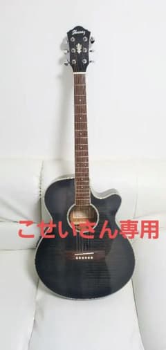Ibanez AEG450TKのサムネイル